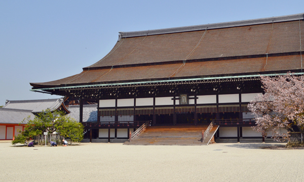 京都御所・紫宸殿正面右側の木がタチバナ