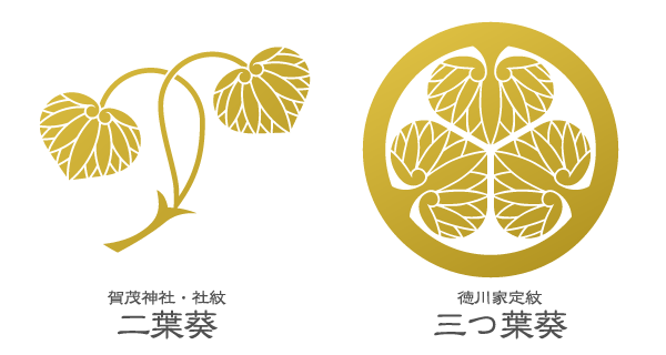 賀茂神社の神紋・二葉葵と徳川家の家紋・三つ葉葵