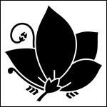 �Ɩ�u�j�[���v�̈Ӗ���R���Ȃǂ̏ڍ׉���y�[�W�w