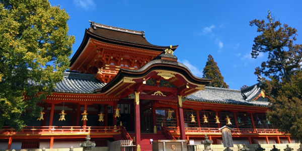 �ΐ��������{�̃C���[�W�摜