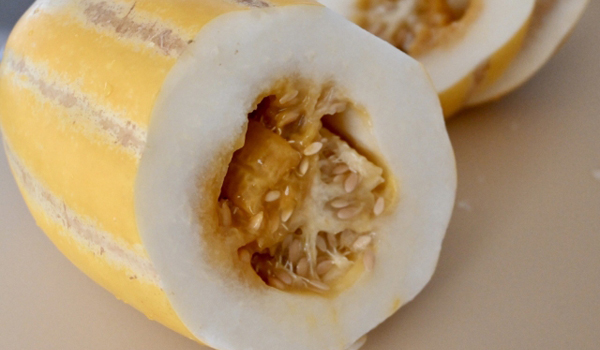 ウリ科の植物の断面画像