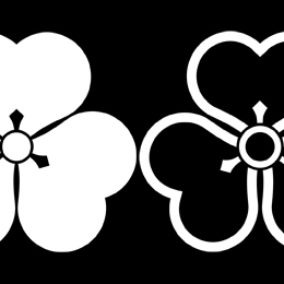 陰紋とは何か 礼装における日向紋との関係も合わせて徹底解説